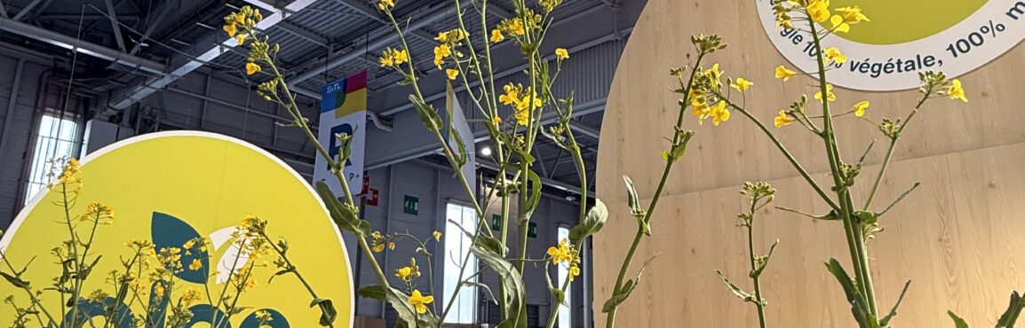 Stand Oleo100 au SITL 2026 avec fleurs de colza et biocarburant B100